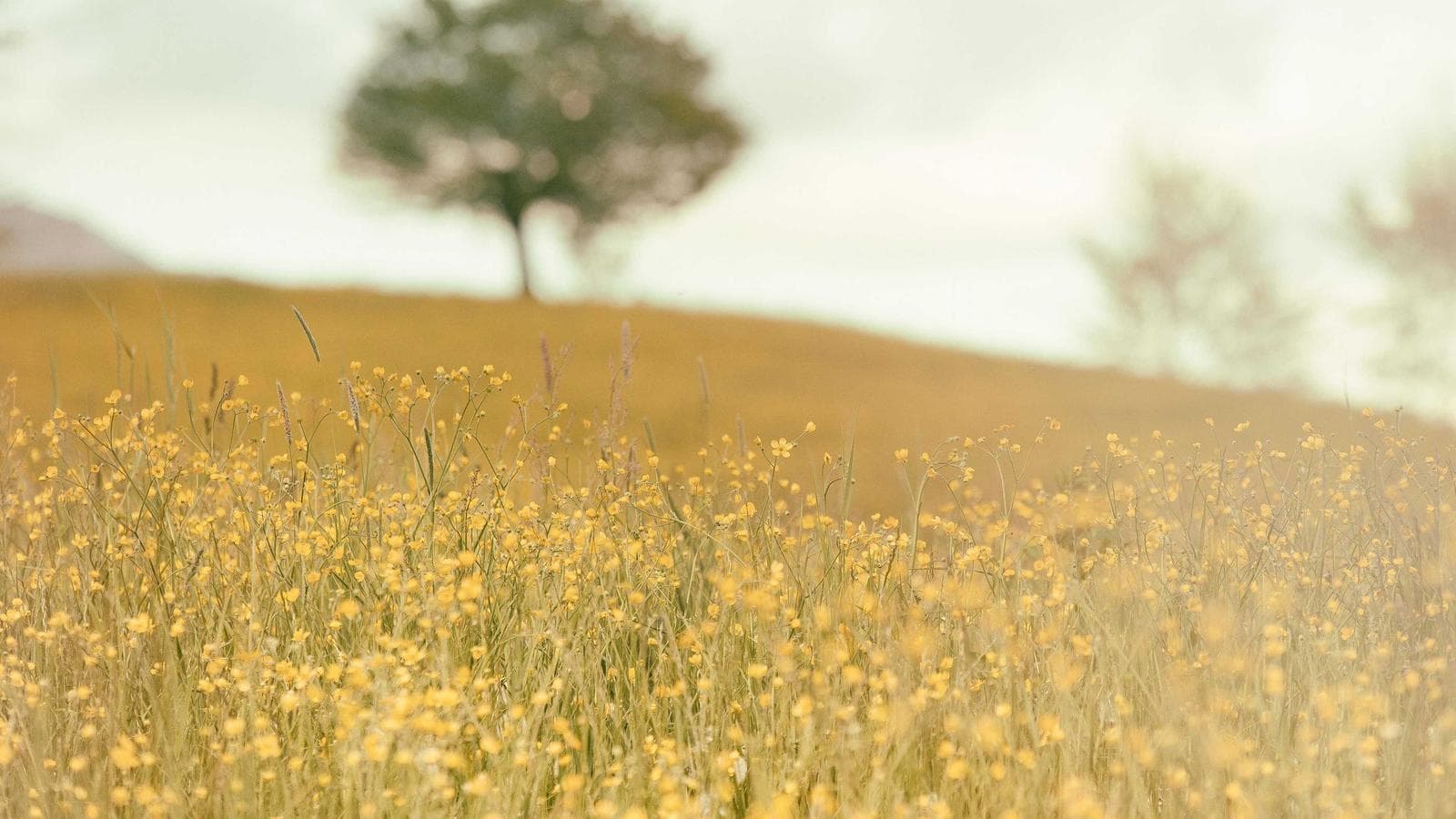 Vela Kozmetik — Fotoğraf Projesi